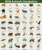 Wild Animals Jigsaw Puzzle