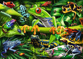 Desenhos de Amazing Amphibians Jigsaw Puzzle para colorir