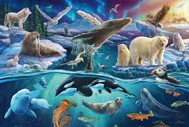 Arctic Animals Jigsaw Puzzle