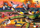 Autumn Feathers Jigsaw Puzzle