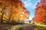 Autumn Scene Jigsaw Puzzle