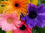 Beautiful Flowers Jigsaw Puzzle 2