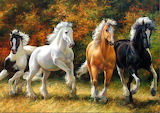 Beautiful Horses Jigsaw Puzzle
