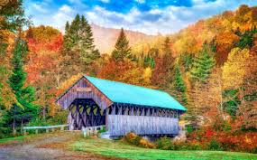 Bennett Bean Bridge Jigsaw Puzzle