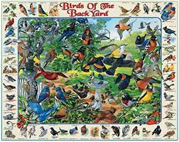 Birds of the Backyard Jigsaw Puzzle
