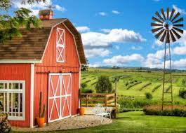 Brazil Farm Jigsaw Puzzle