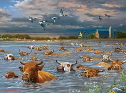 Cattle Crossing Jigsaw Puzzle