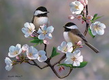 Cherry Blossom Chickadees Jigsaw Puzzle