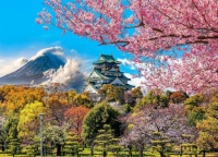 Desenhos de Cherry Blossoms in Osaka Castle Jigsaw Puzzle para colorir