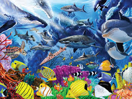 Colorful Sea Life Jigsaw Puzzle