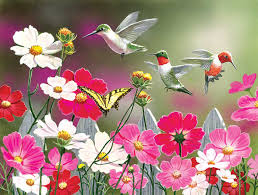 Desenhos de Cosmos Flower and Hummingbirds Jigsaw Puzzle para colorir