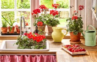 Cottage Kitchen Window Jigsaw Puzzle