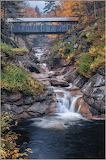 Covered Bridge Waterfall Jigsaw Puzzle