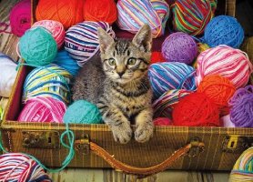 Desenhos de Curious Kitty – Tabby Cat Jigsaw Puzzle para colorir