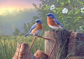 Desenhos de Daybreak Bluebirds Jigsaw Puzzle para colorir