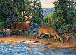 Deers by the River Jigsaw Puzzle