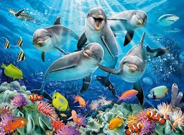 Dolphins in The Coral Reef Jigsaw Puzzle