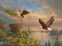 Eagle Back to The Nest Jigsaw Puzzle