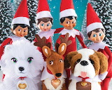 Elf and Furry Friends Jigsaw Puzzle