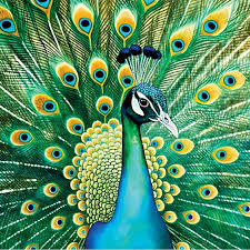 Desenhos de Emerald Peacock Jigsaw Puzzle para colorir