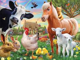 Farmyard Friends Jigsaw Puzzle