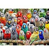 Feathered Friends Fiesta Jigsaw Puzzle