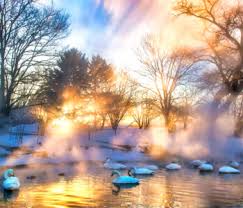 Flock of Swans Jigsaw Puzzle
