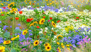 Flower Garden Blooming Jigsaw Puzzle