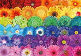 Flower Rainbow Collage Jigsaw Puzzle