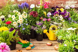 Flowers Of The Garden Jigsaw Puzzle