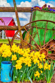 Flowers On The Farm Jigsaw Puzzle