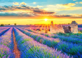 Fresh Beginnings Jigsaw Puzzle