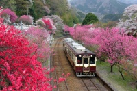 Godo Station, Midori, Japan Jigsaw Puzzle