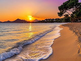 Golden Shore Beach Jigsaw Puzzle