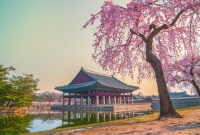 Gyeongbokgung Palace, Seoul, South Korea Jigsaw Puzzle