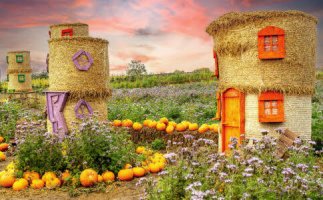 Hay Houses Jigsaw Puzzle
