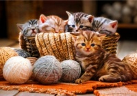 Desenhos de Kittens in Basket Jigsaw Puzzle 2 para colorir