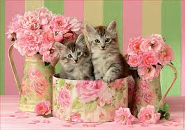 Kittens With Roses Jigsaw Puzzle