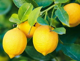 Lemon Fruits Jigsaw Puzzle