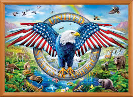 Liberty Falls Jigsaw Puzzle