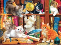 Library Mischief Jigsaw Puzzle