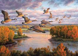 Migration Birds Jigsaw Puzzle