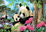 Morning Panda Jigsaw Puzzle