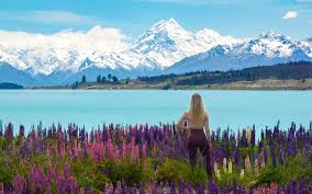 Mount Cook National Park Jigsaw Puzzle