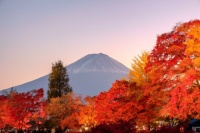 Desenhos de Mount Fuji, Honshu, Japan Jigsaw Puzzle para colorir