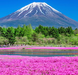 Desenhos de Mount Fuji in Japan Jigsaw Puzzle para colorir