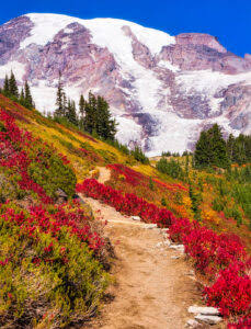 Mount Rainier Hike Jigsaw Puzzle