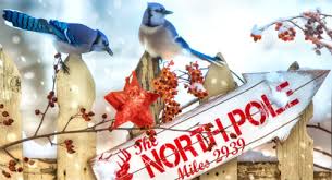 North Pole This Way Jigsaw Puzzle