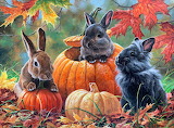 Pumpkin Patch Bunnies Jigsaw Puzzle