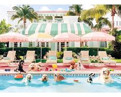 Puppy Swimming Pool Jigsaw Puzzle